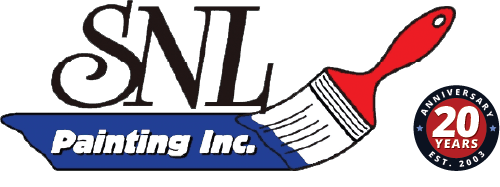 SNL 20 Year Logo