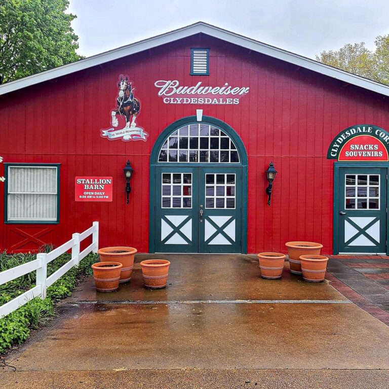 budweiser barn